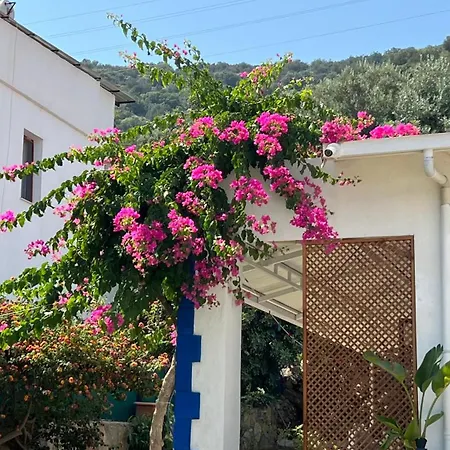Motel Yaliyani