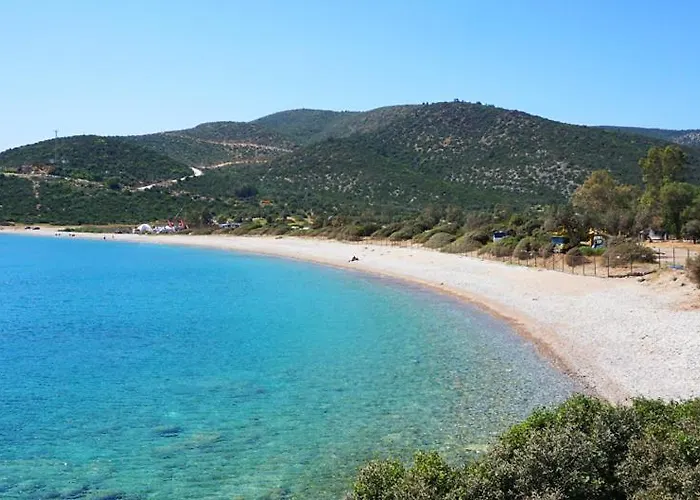 Motel Yaliyani Yaliciftlik