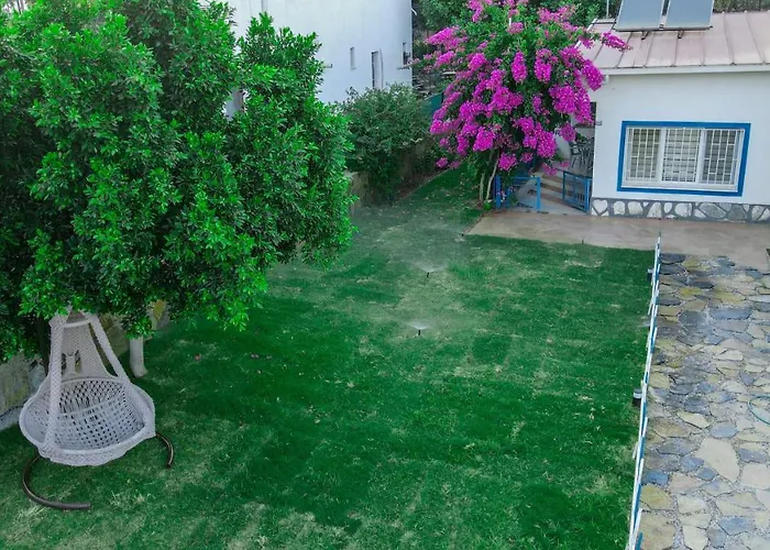 Yaliyani *