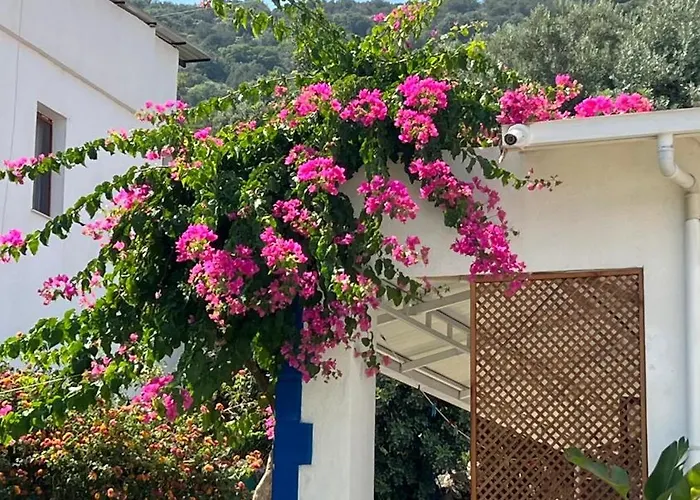 Motel Yaliyani