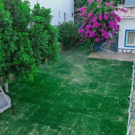 Yaliyani *